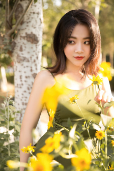 发达秘笈
